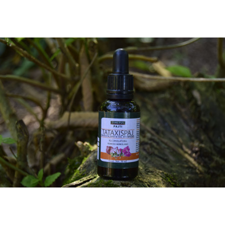 Alcoholatura Tataxispaj