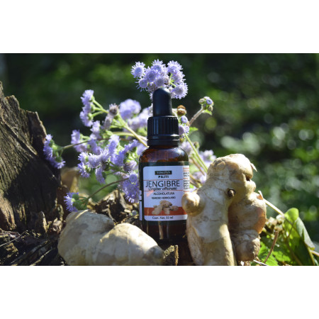 Alcoholatura de Jengibre