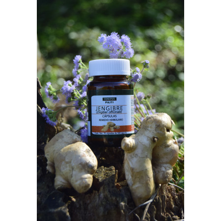 Cápsulas de Jengibre